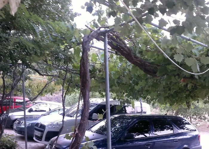 招待所 Faidrahouse