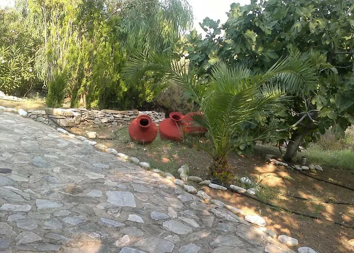 Faidrahouse 招待所