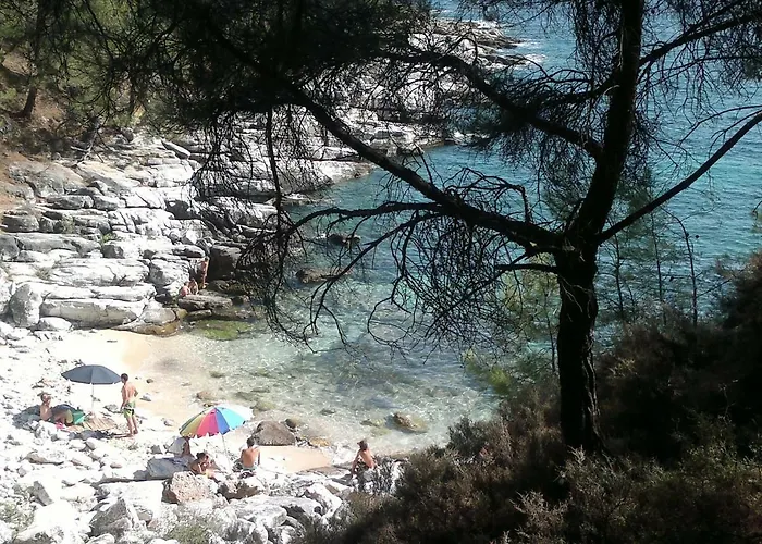 Faidrahouse 招待所