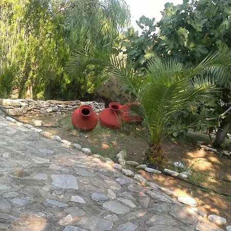 Faidrahouse Guest house